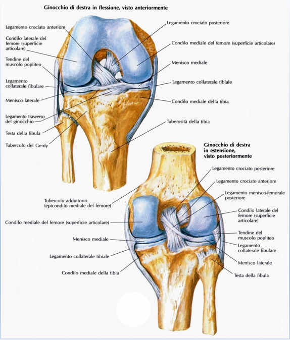 La protesi del ginocchio